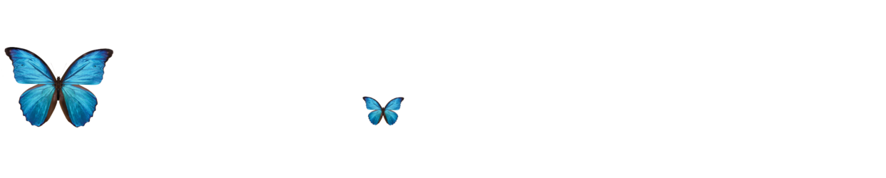 PARKS REGENERATION MATRIX